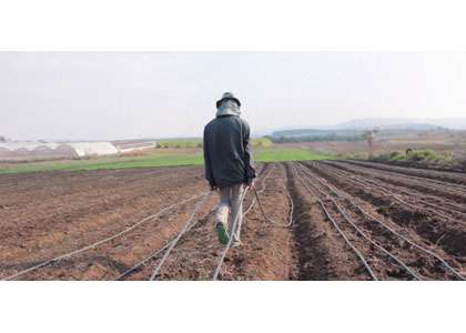 Agro-Art, Contemporary Agriculture in Israeli Art